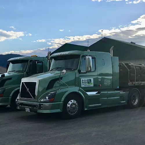 Bos Sod trucks loaded with turf