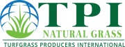 More about TPI